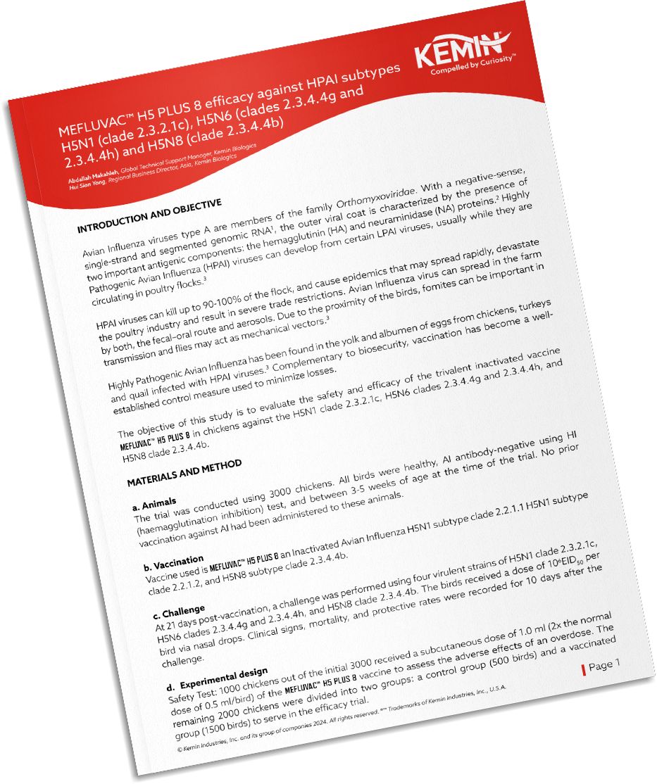 Mockup-Technical-Literature-5-TCP