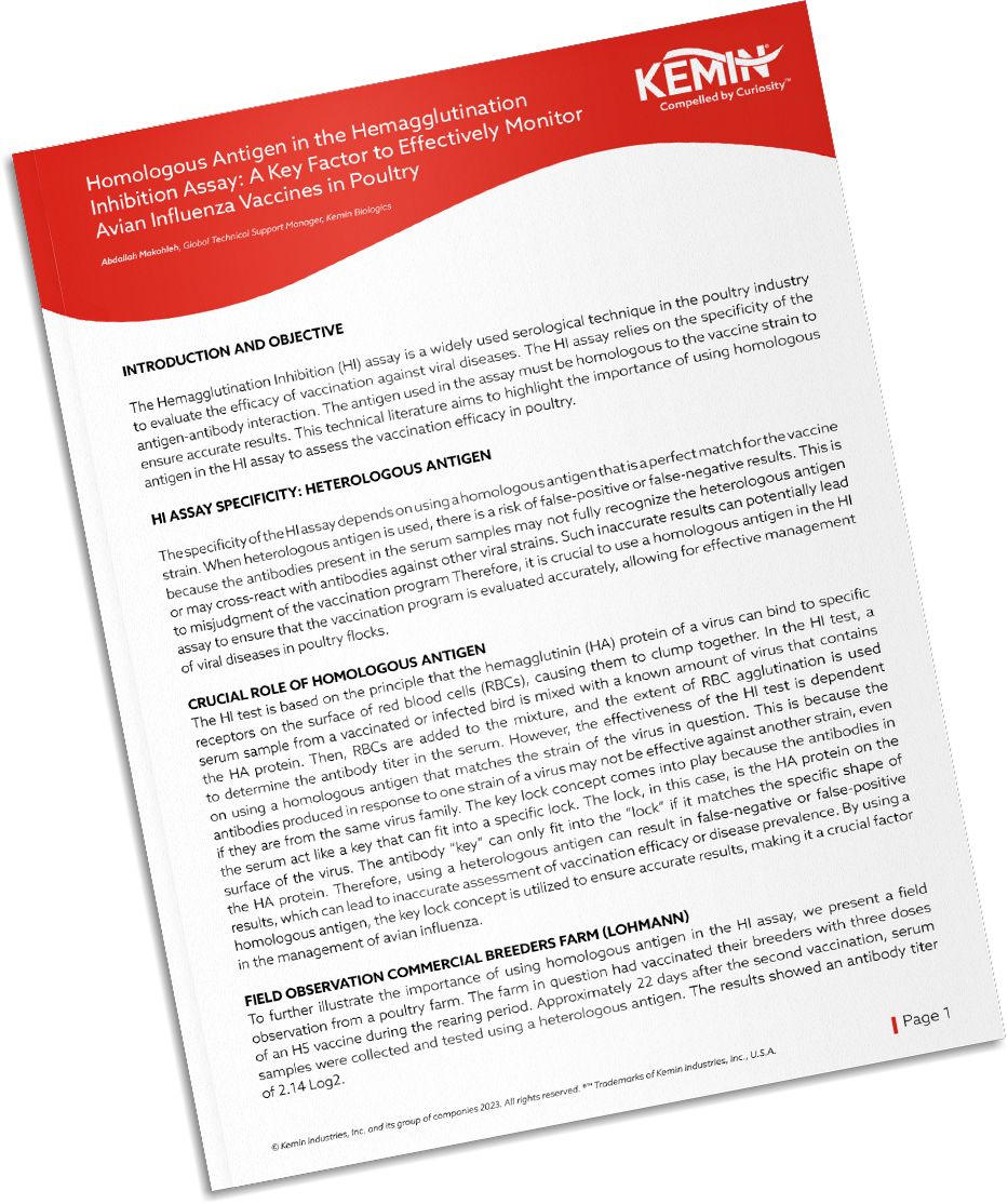 Mockup-Technical-Literature-6-TCP
