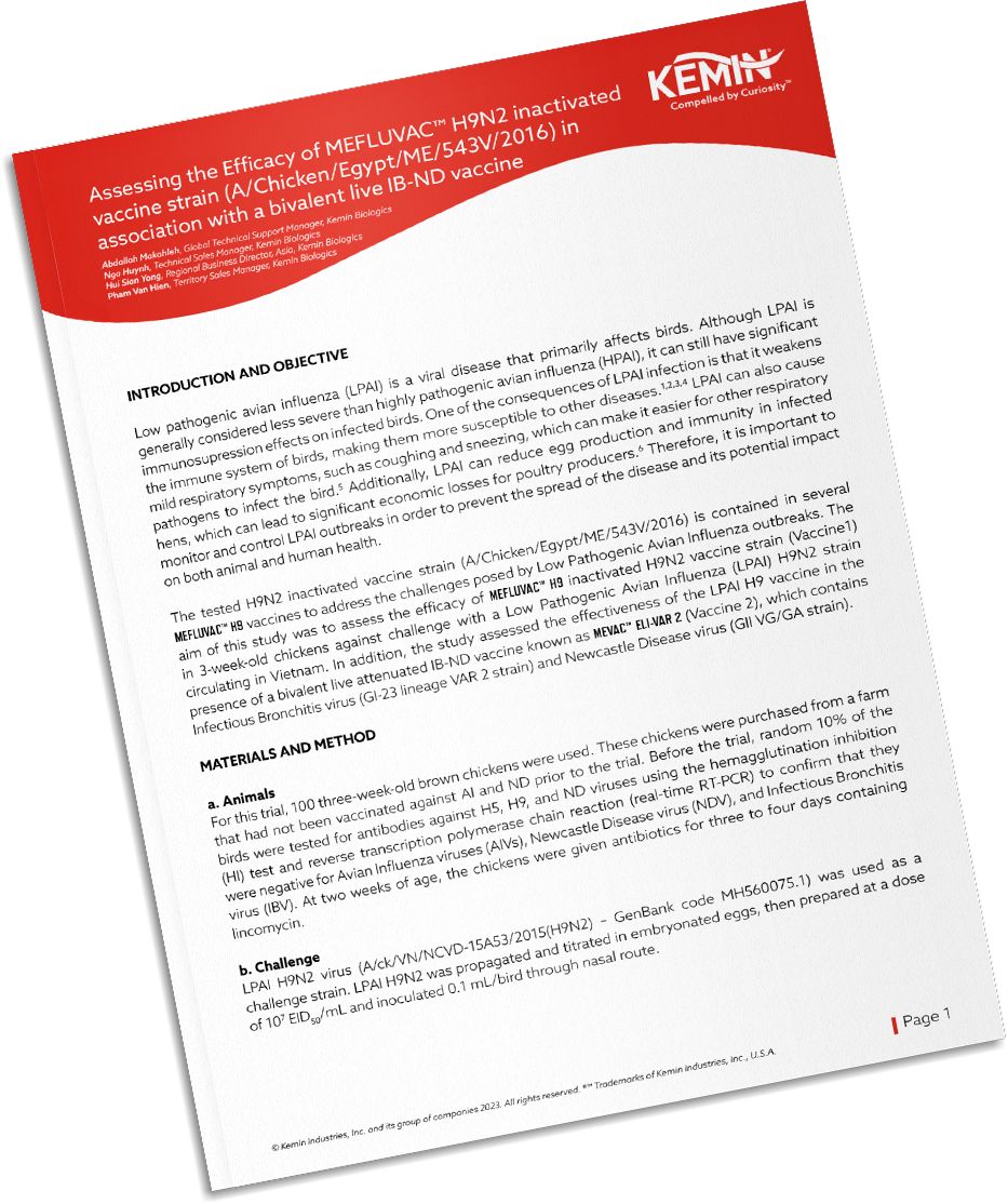 Mockup-Technical-Literature-7-TCP