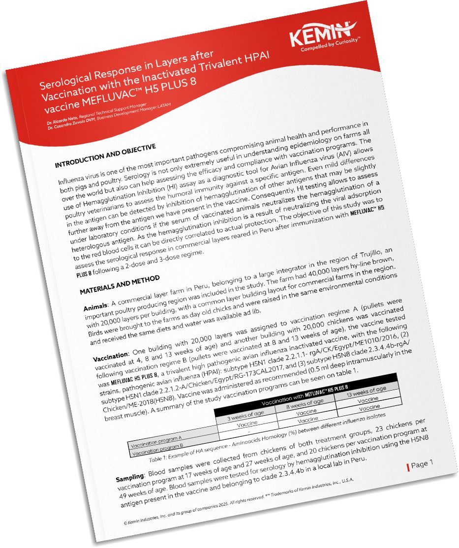 Mockup-Technical-Literature-8-TCP