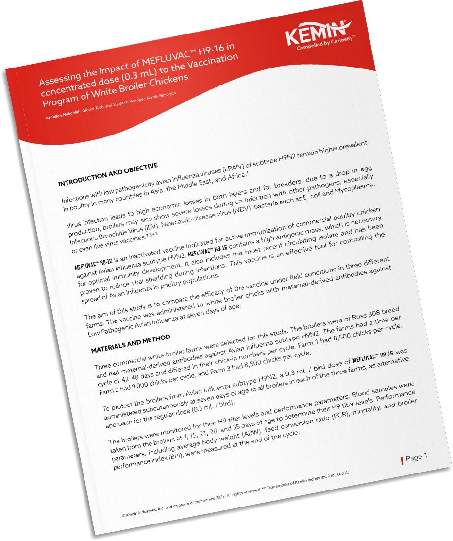 Mockup-Technical-Literature-9-TCP