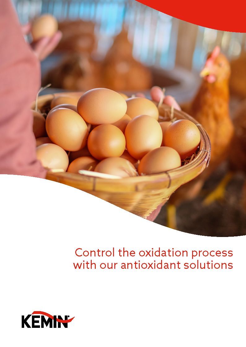 Termox_antioxidant_solutions_Page_01