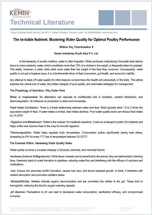 The Invisible Nutrient: Mastering Water Quality for Optimal Poultry Performance