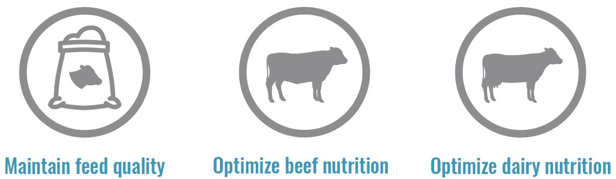 The Science Behind Ruminant Gut Health-1