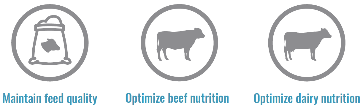 The Science Behind Ruminant Gut Health-1