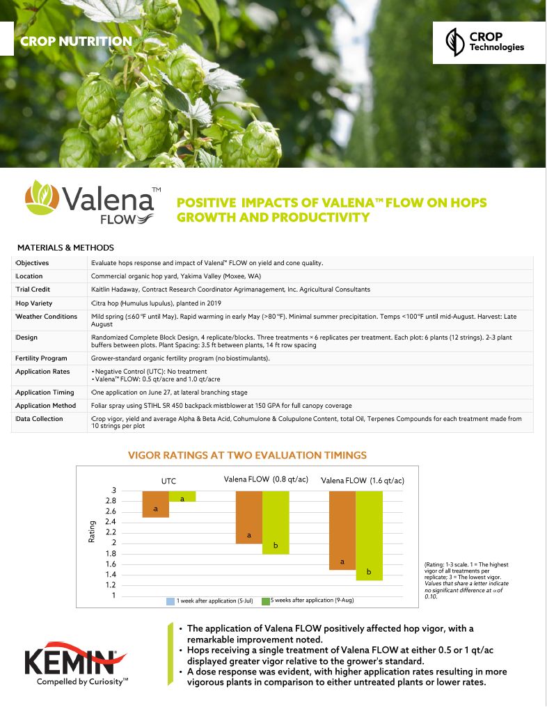 Thumbnail Valena FLOW CS Hops WA