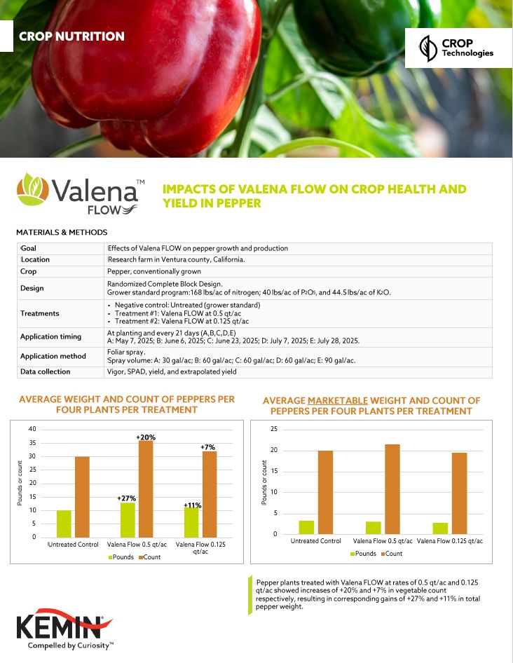 Thumbnail Valena FLOW CS Pepper CA