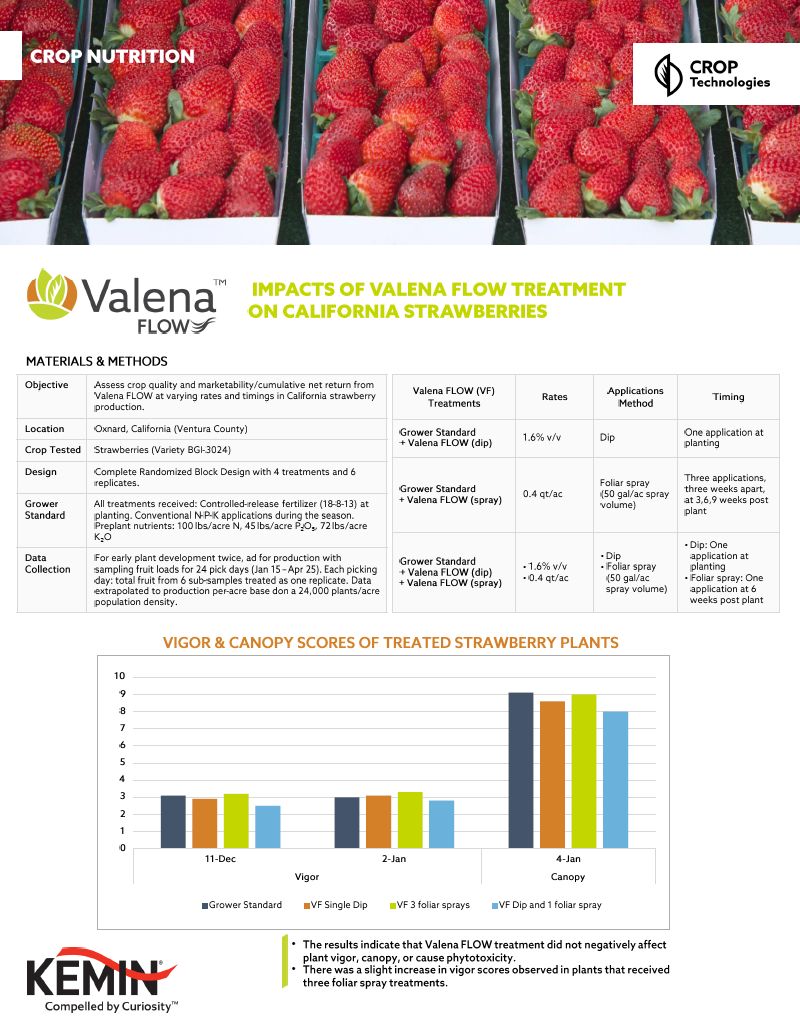 Thumbnail Valena FLOW CS Strawberry CA