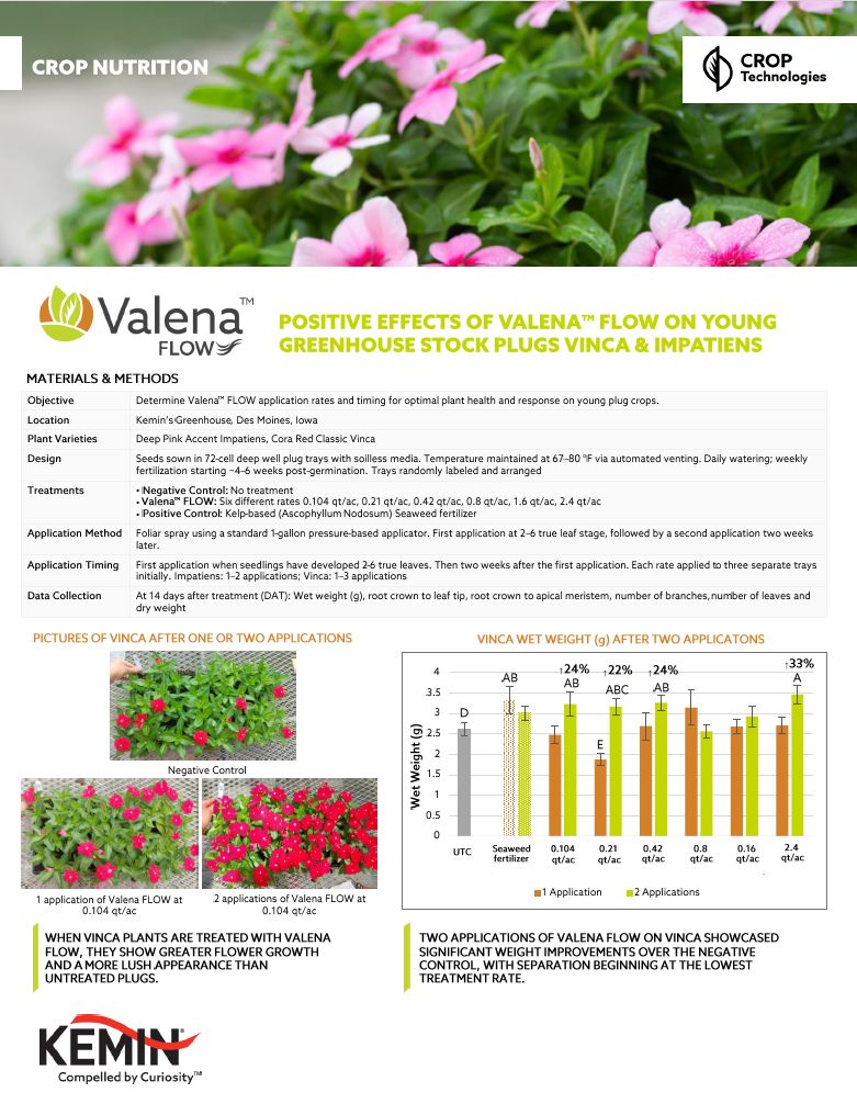 Thumbnail Valena FLOW CS ornamental