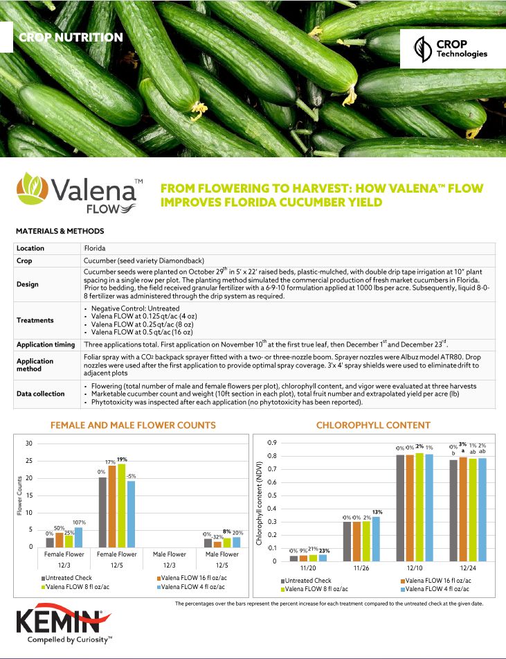 Thumbnail Valena FLOW Florida Cucumber