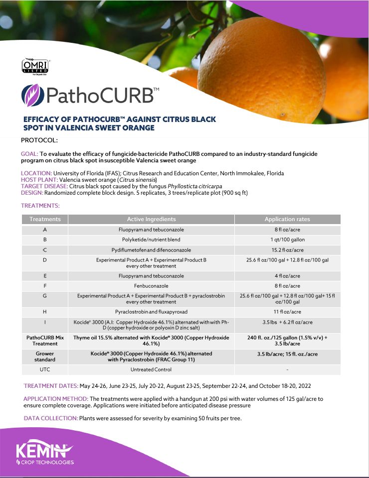 Thumbnail_Citrus_Black_Spot