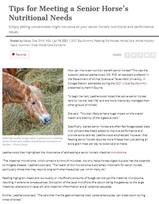 Tips for Meeting a Senior Horse's Nutritional Needs