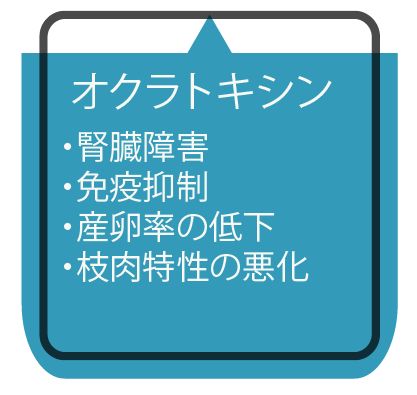 Toxfin 2