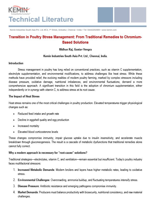 Transition in Poultry Stress Management: From Traditional Remedies to Chromium-Based Solutions