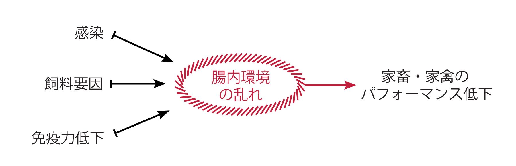 Translated to JA - Clostat 1
