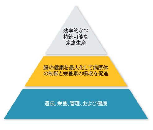 Translated to JA_Enterosure 1