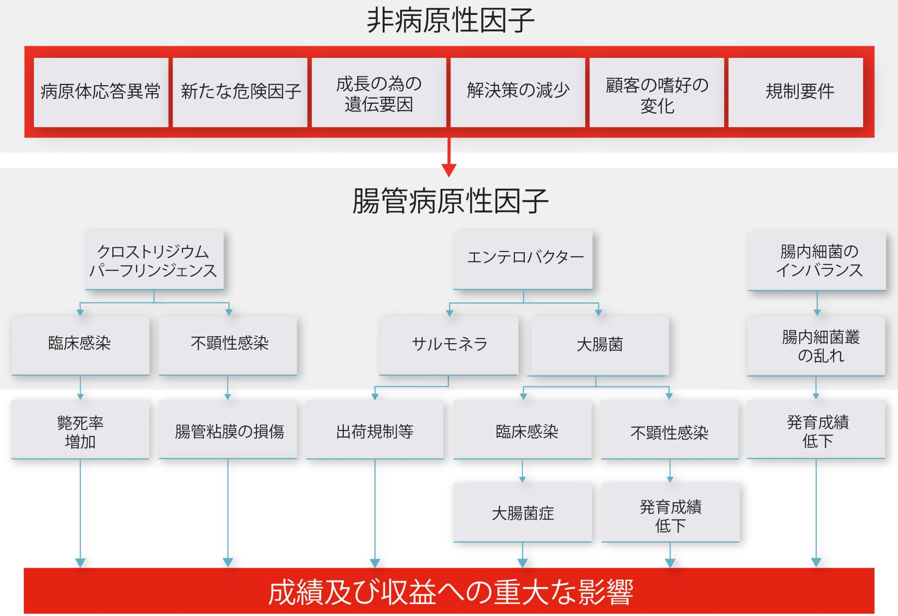 Translated to JA_Enterosure 2