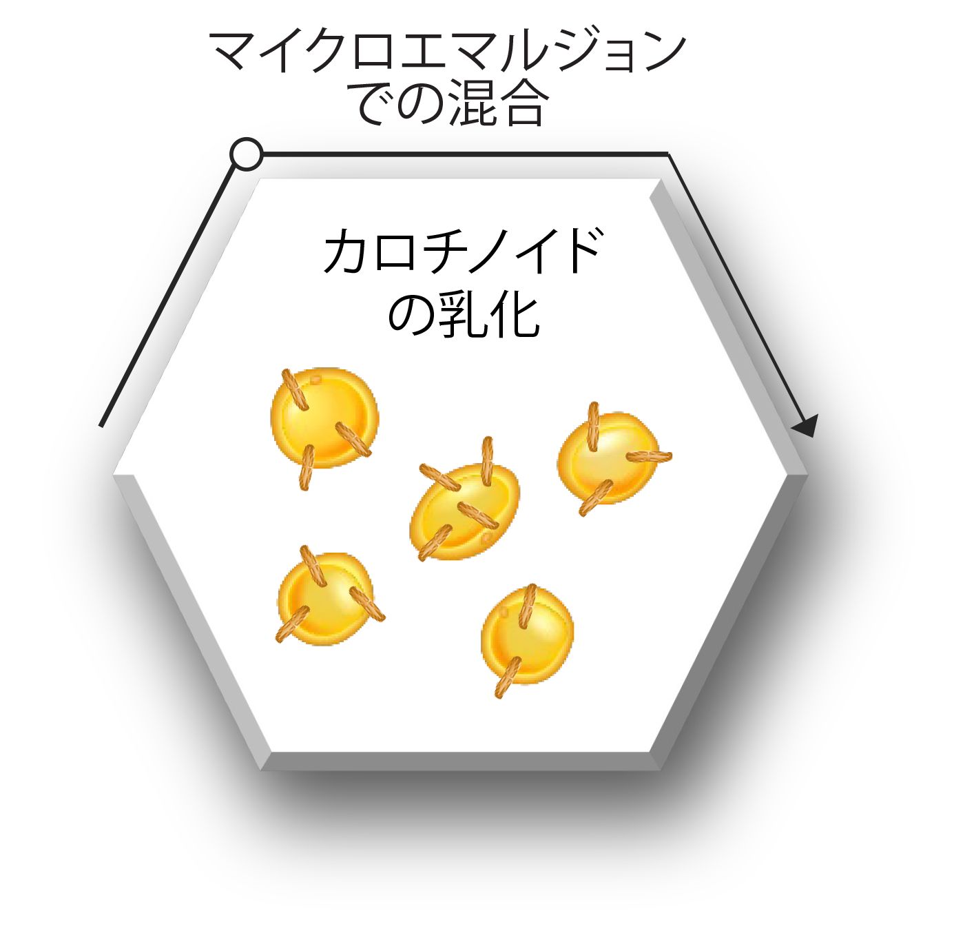 Translated to JA_Quantum 1B