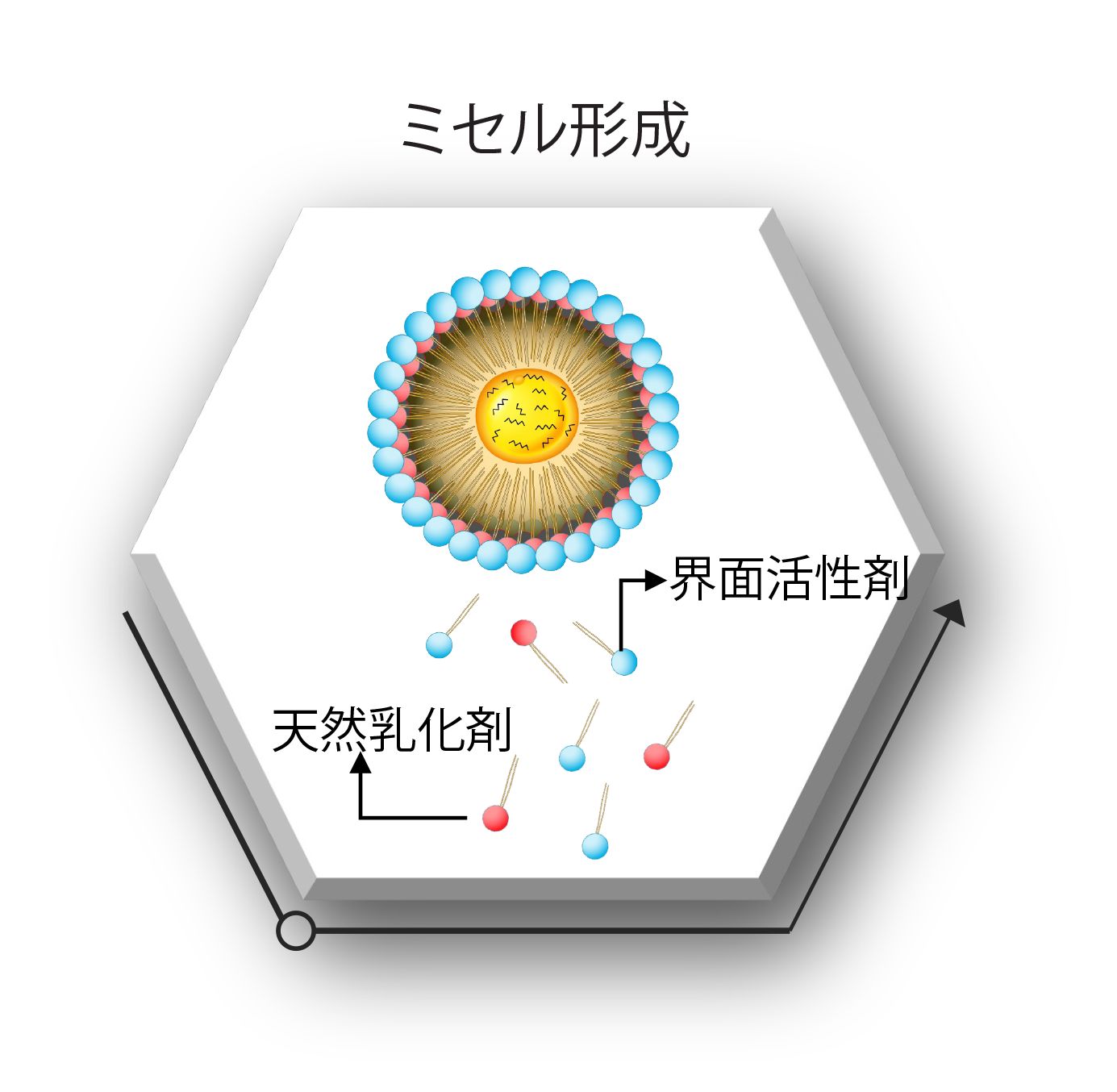 Translated to JA_Quantum 1C