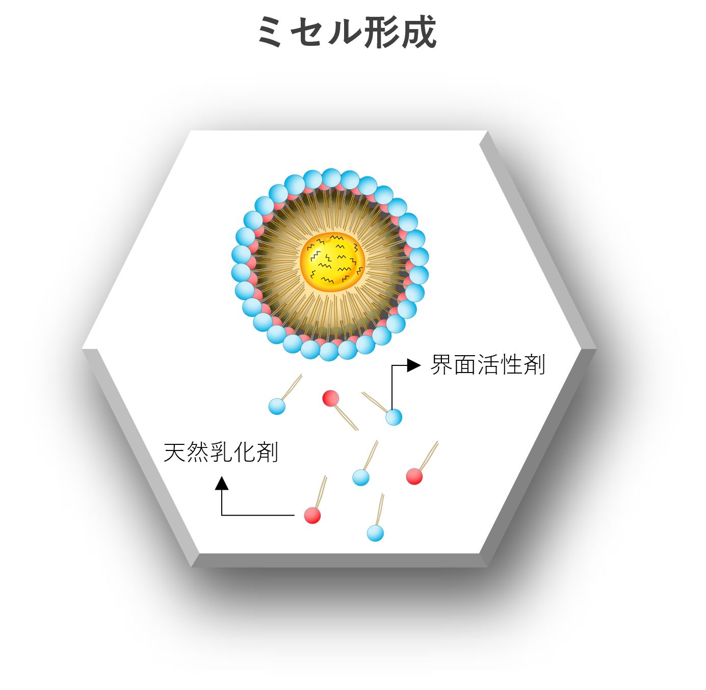 Translated to JA_Quantum 1C edited