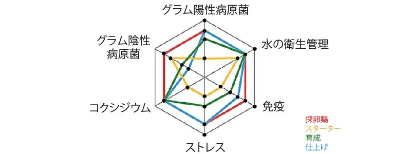 Translated to JA_Water Series 1