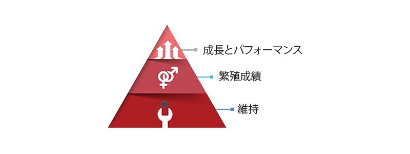 Translated to JA_Water Series 2