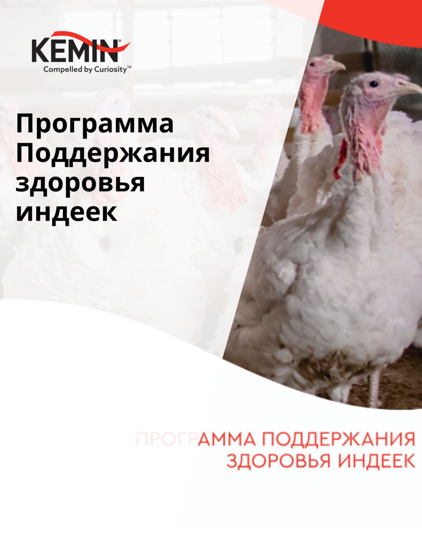 Copy of Aleta Technical Docs - Improving the sow’s nutrient supply increases production cost-efficiency