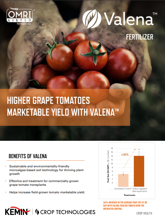 Valena-cropsheet-tomato