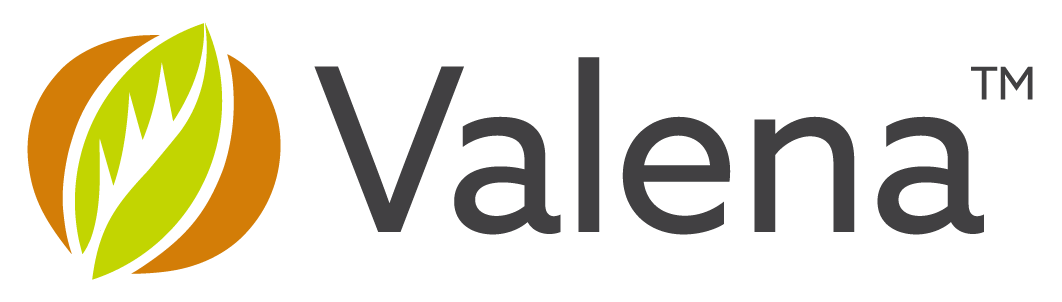 2022_Valena Logo