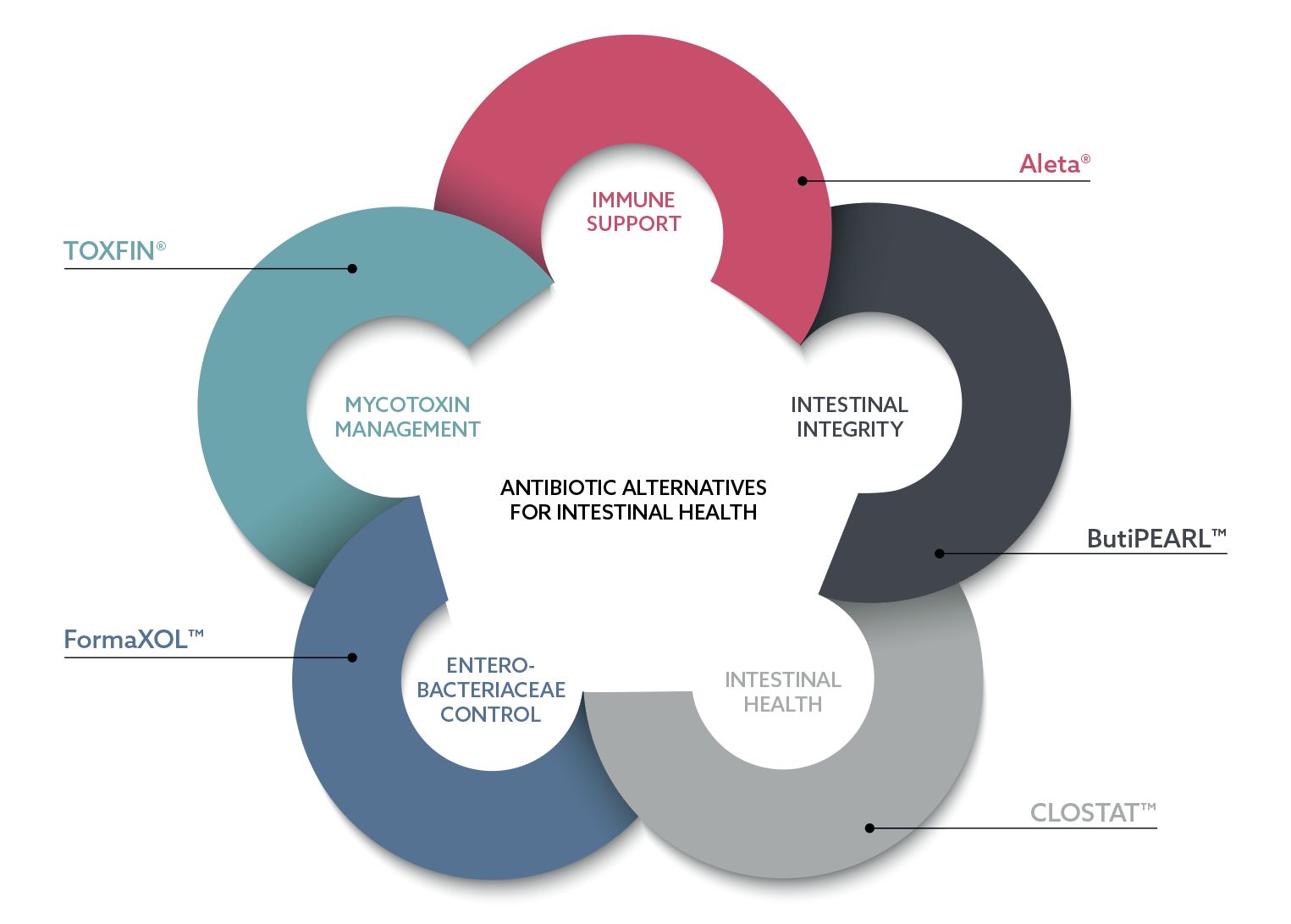 Veterinary nutritionals_ANTIBIOTIC ALTERNATIVES FOR INTESTINAL HEALTH