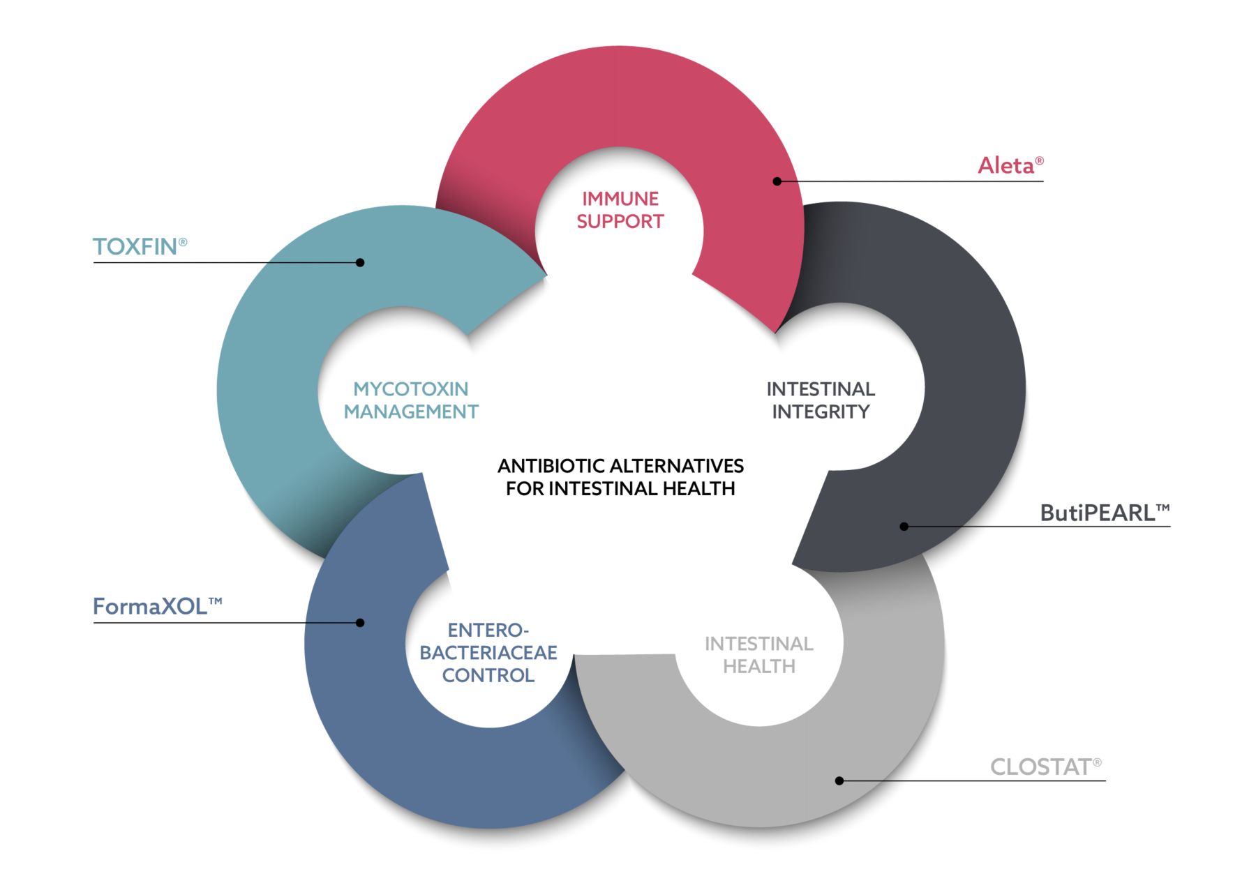 Veterinary nutritionals_ANTIBIOTIC ALTERNATIVES FOR INTESTINAL HEALTH_2023