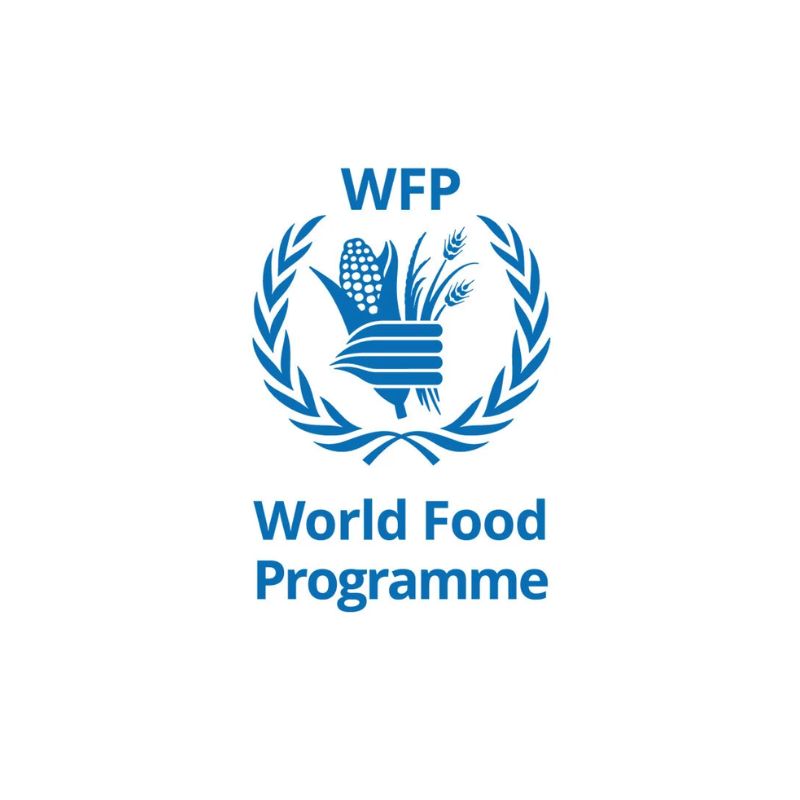 WFP Logo Small