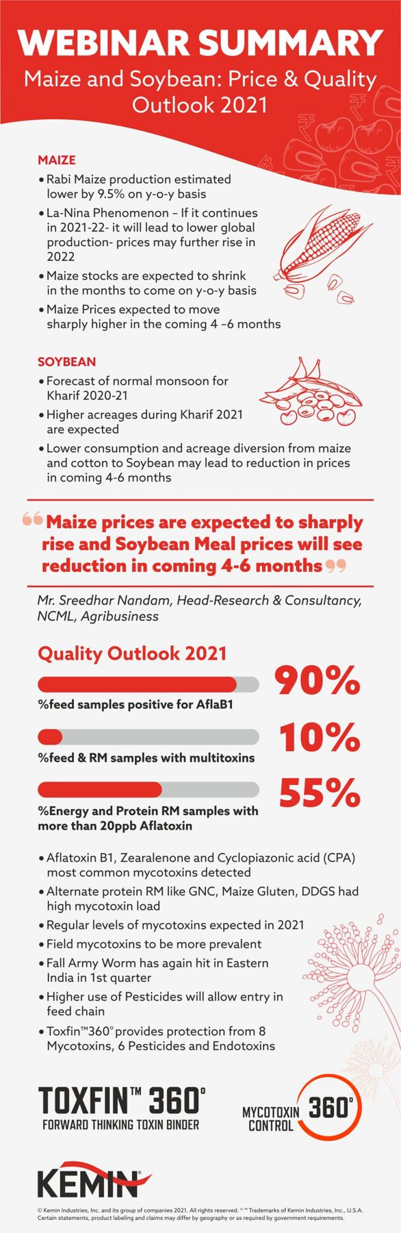 WebinarSummaryInfograph