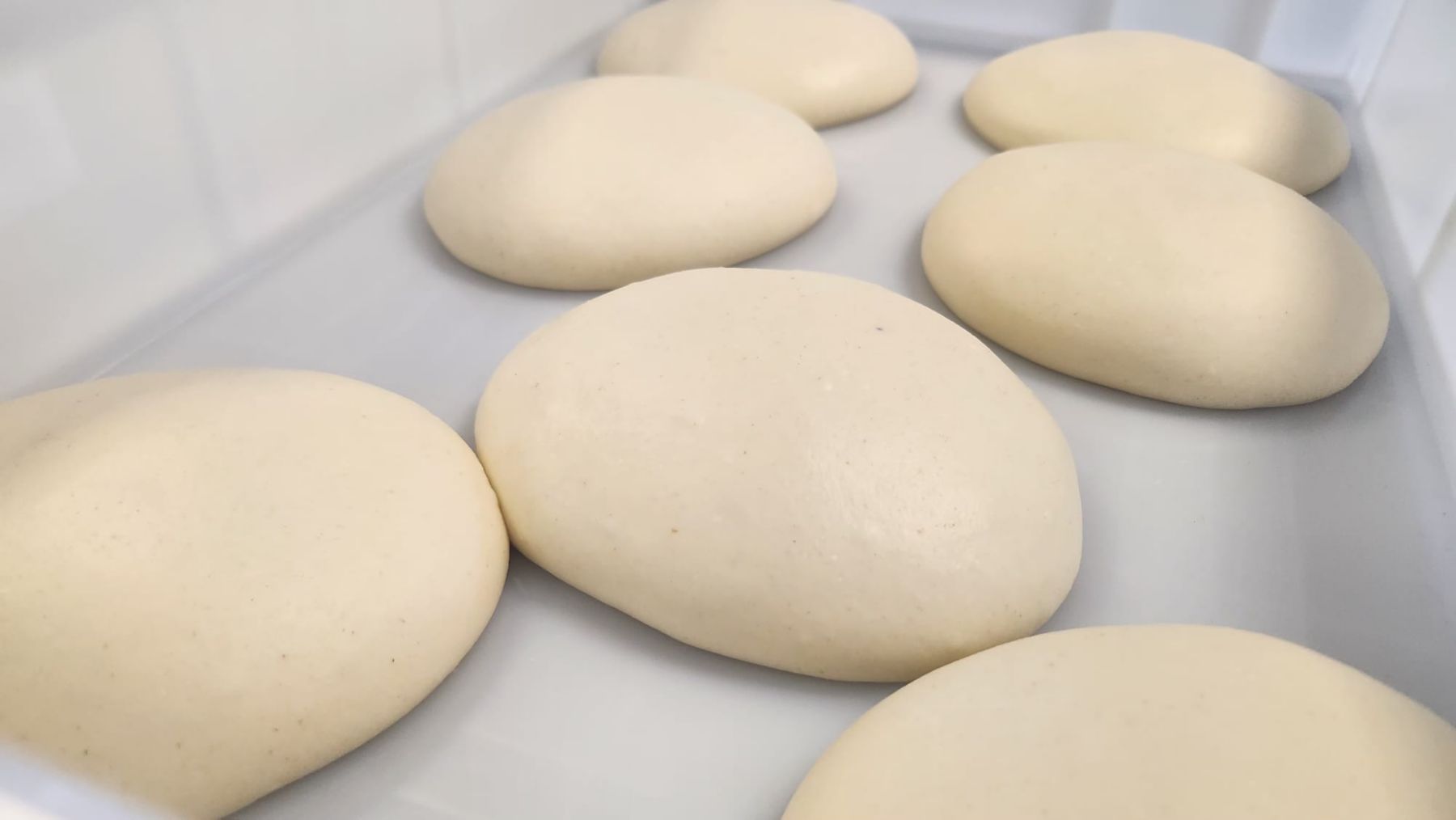 Yeasted dough