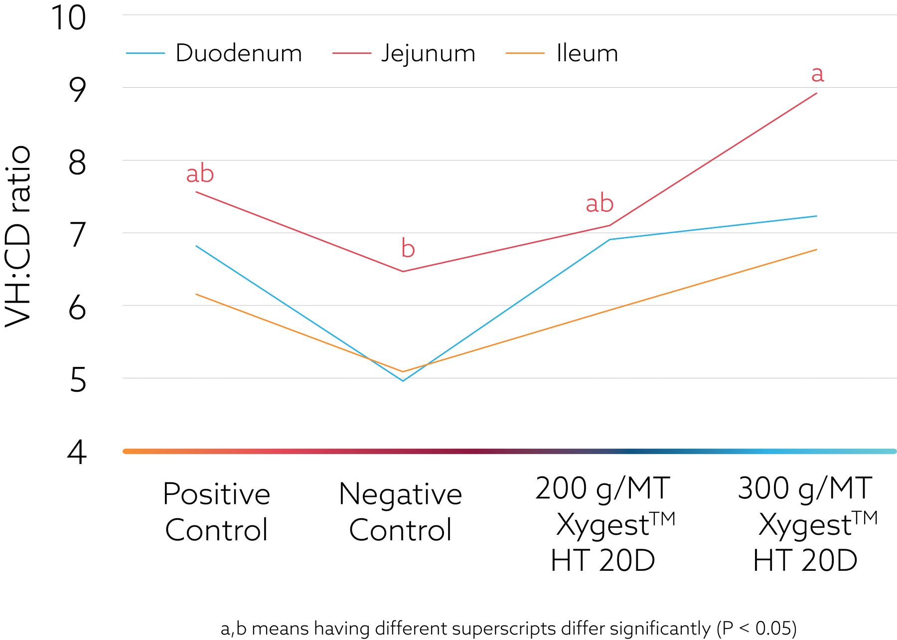 XYGEST HT KAA-Xygest HT Enhances Gut Morphology graph
