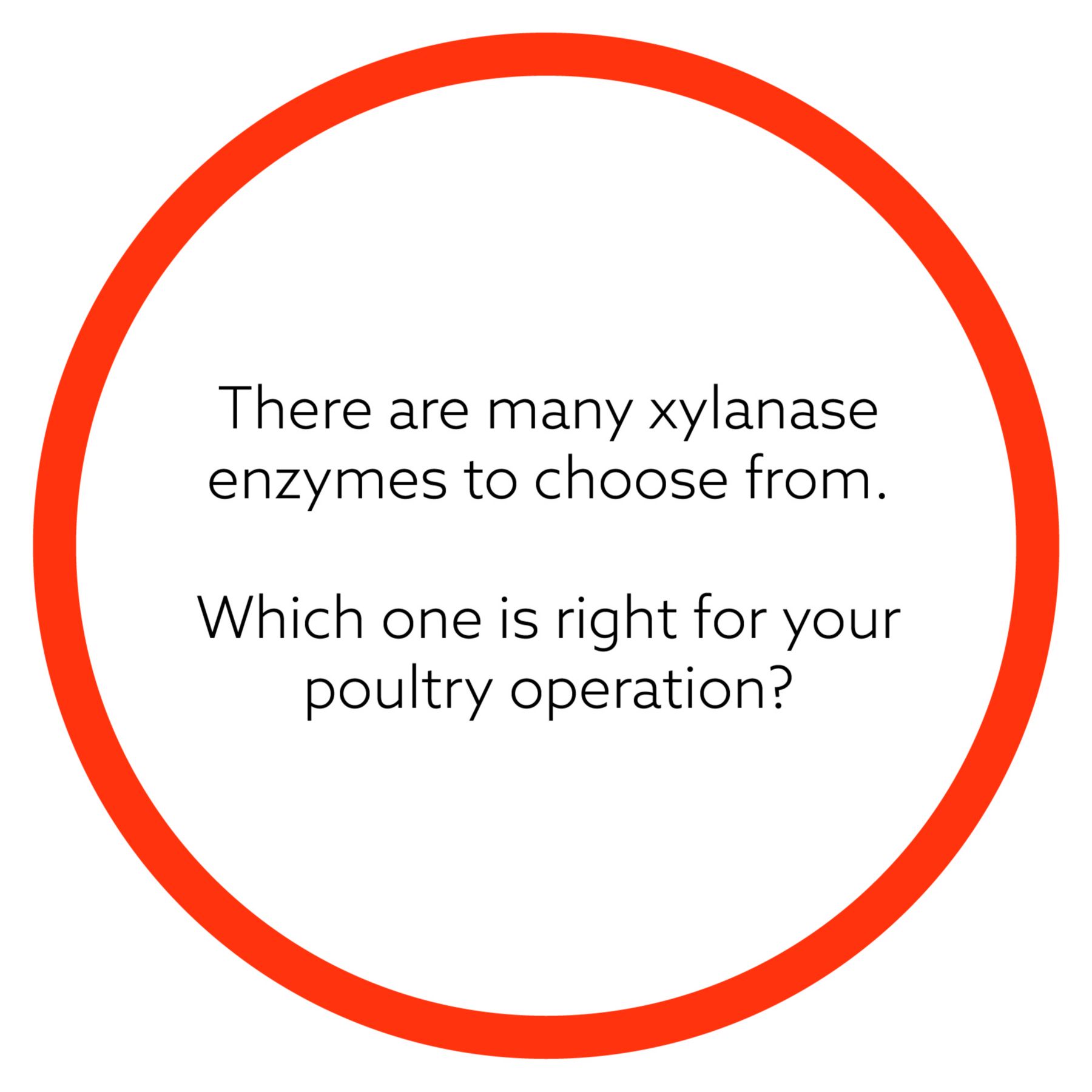 XYGEST HT graphs and images