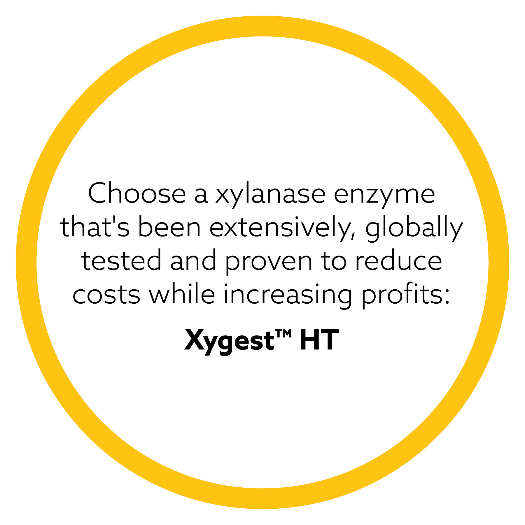 XYGEST HT graphs and images