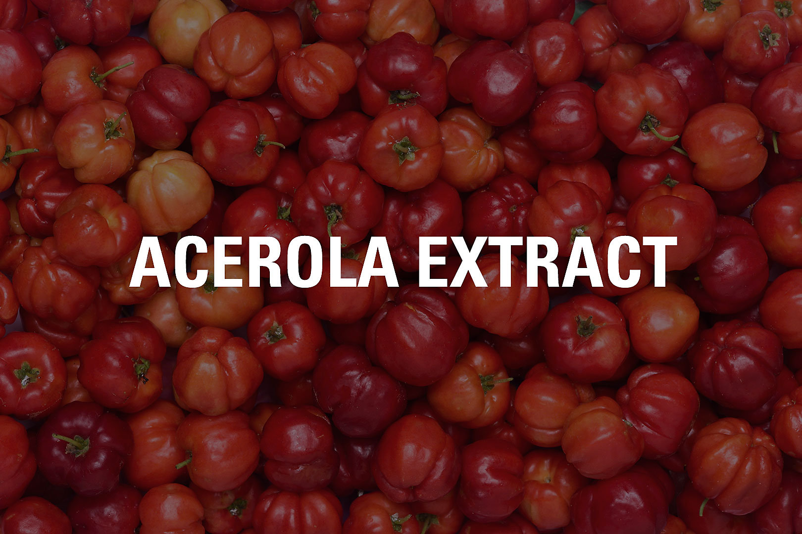 Acerola Extract Ingredient Tile