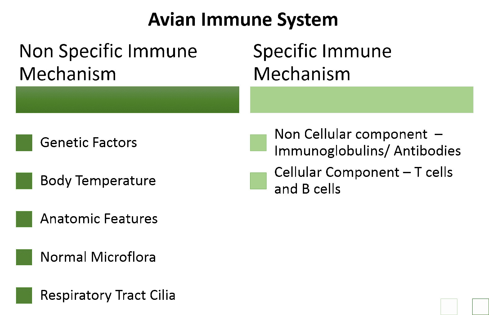 avian_immune_system