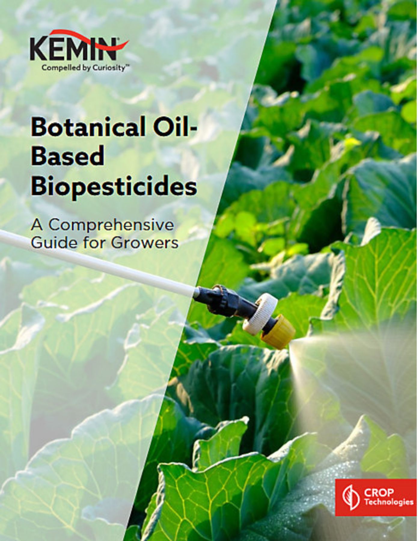 biopesticides PDF thumbnail - 1