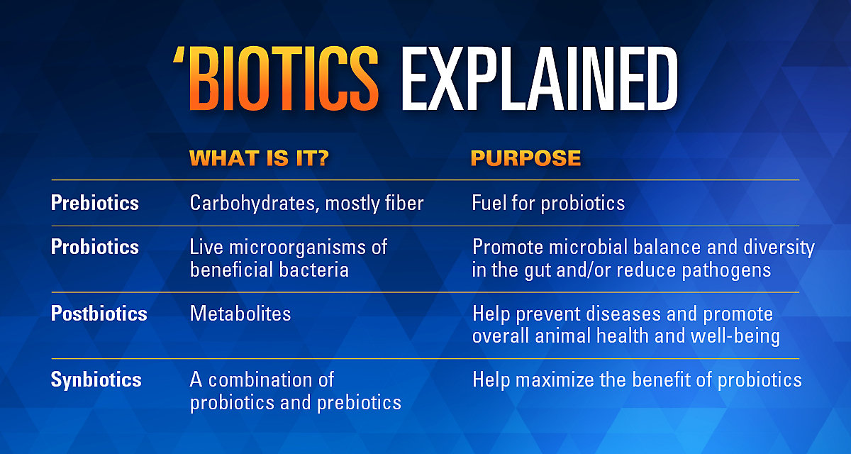 Biotics Explained x2