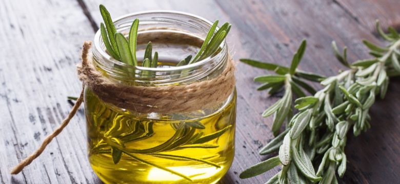 Essential oil of rosemary