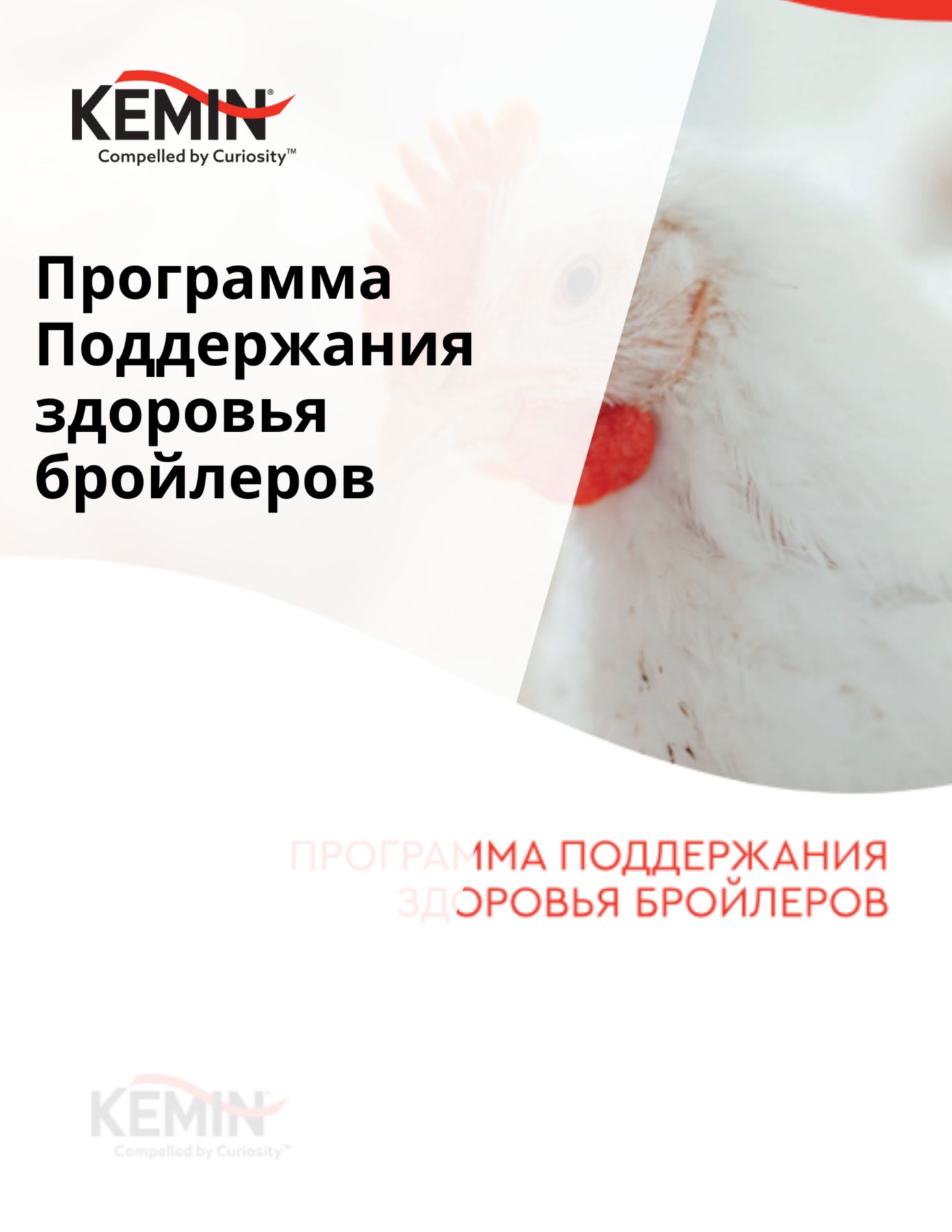 Copy of Aleta Technical Docs - Improving the sow’s nutrient supply increases production cost-efficiency