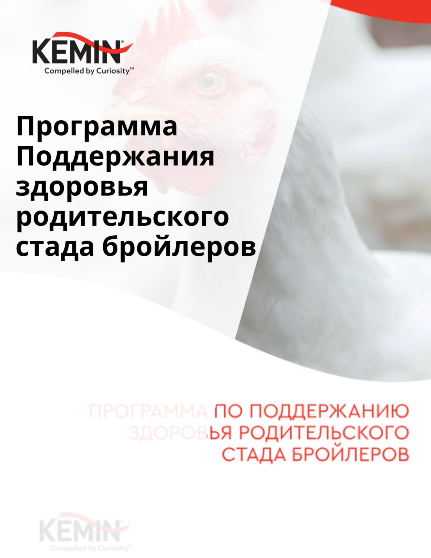 Copy of Aleta Technical Docs - Improving the sow’s nutrient supply increases production cost-efficiency (2)