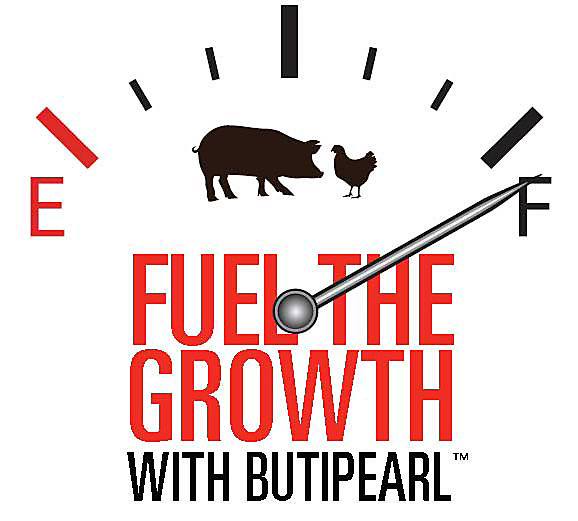 butipearl_fuel0_0the0_0growth_0