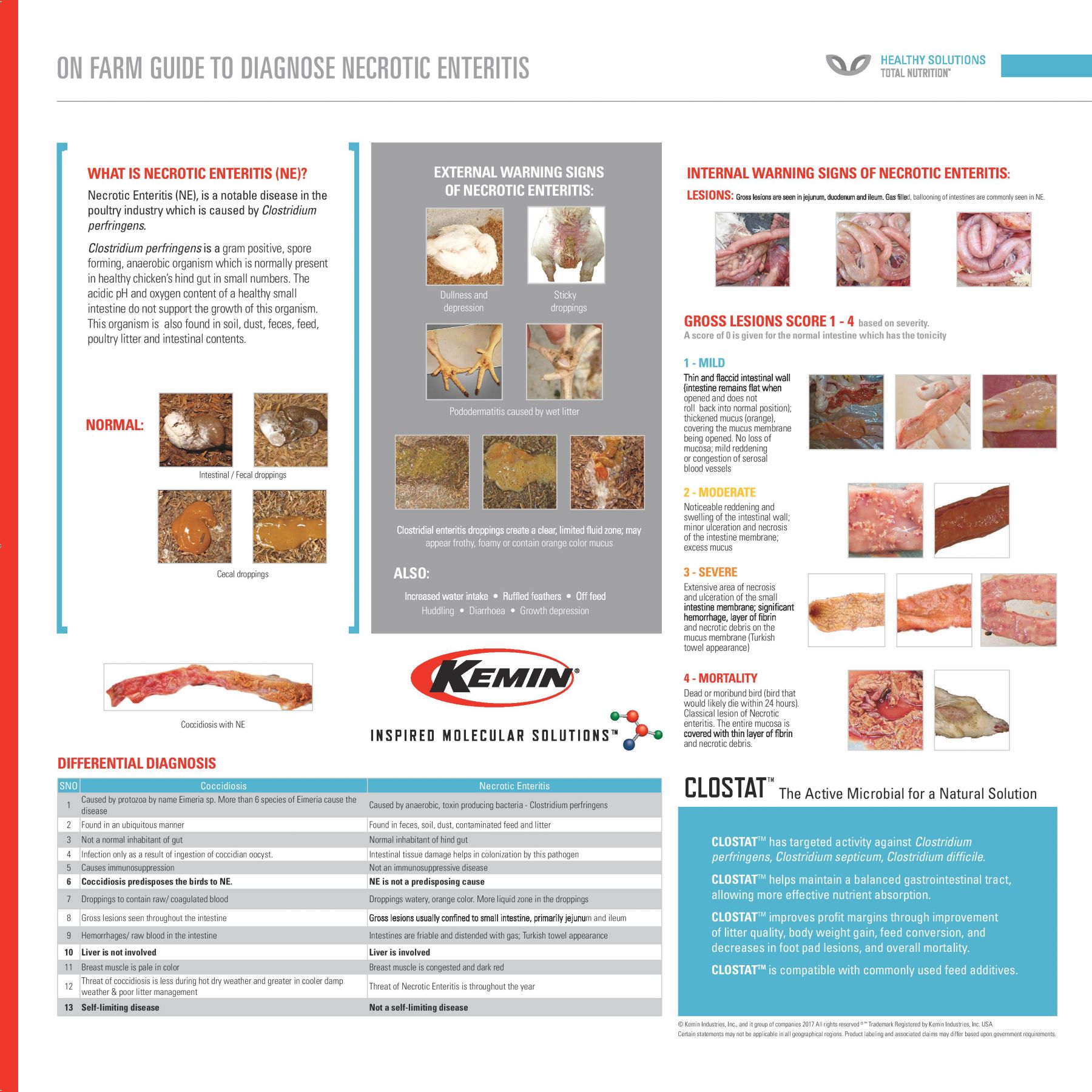 clostat_poster_farm_guide_necrotic_enteritis