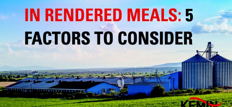 controllingoxidationinrenderedmeal1final