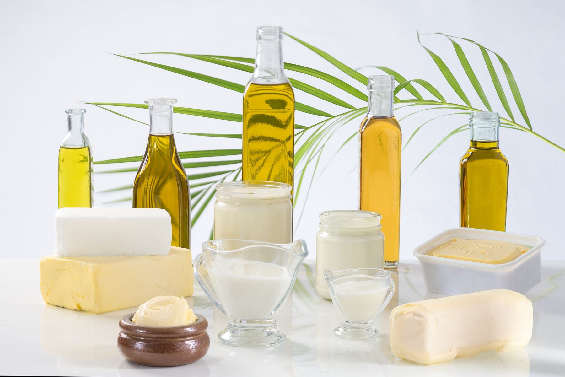 culinary variety of fats