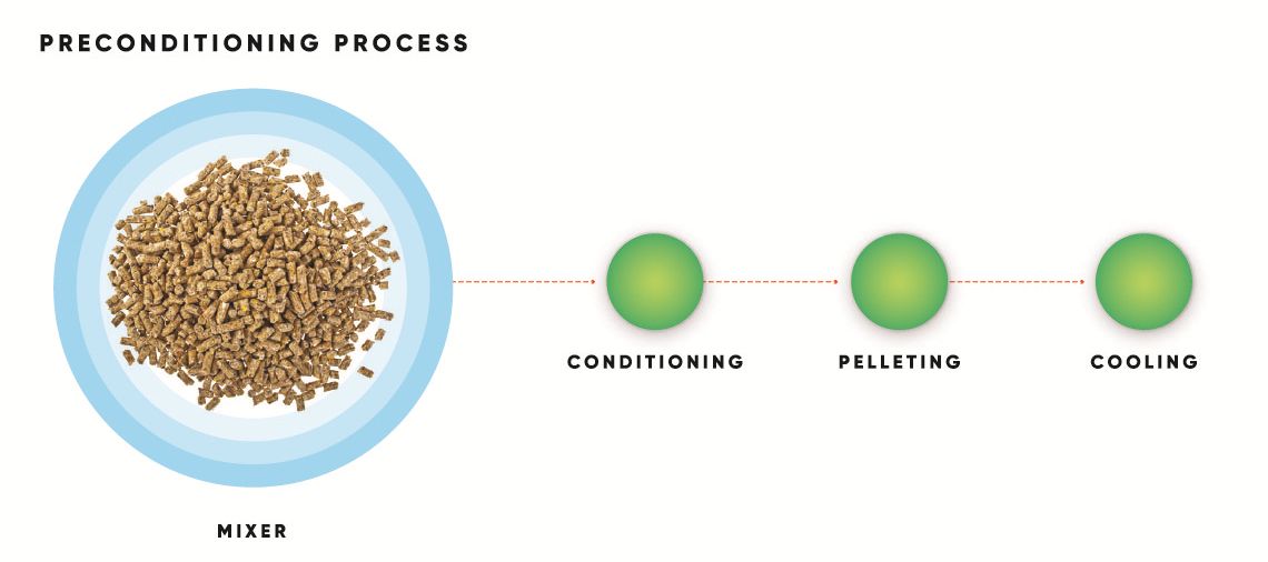 diagram_2_preconditioning_process-01_without_white_borders_png