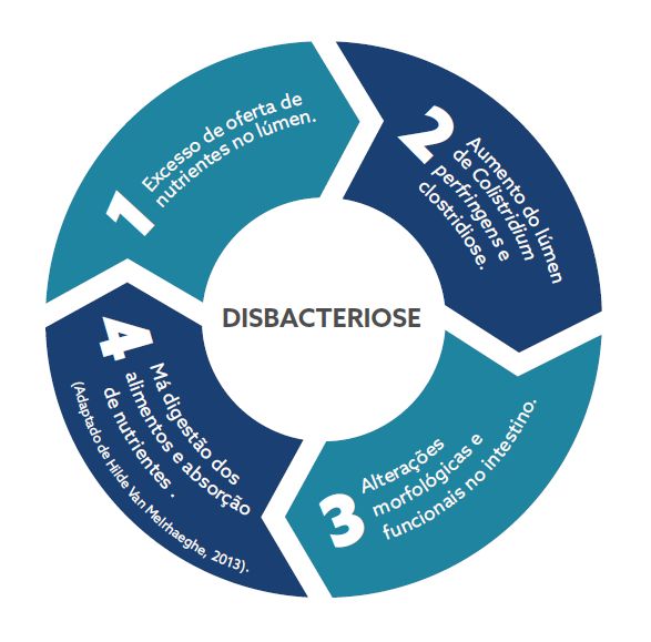 disbacteriose.PNG